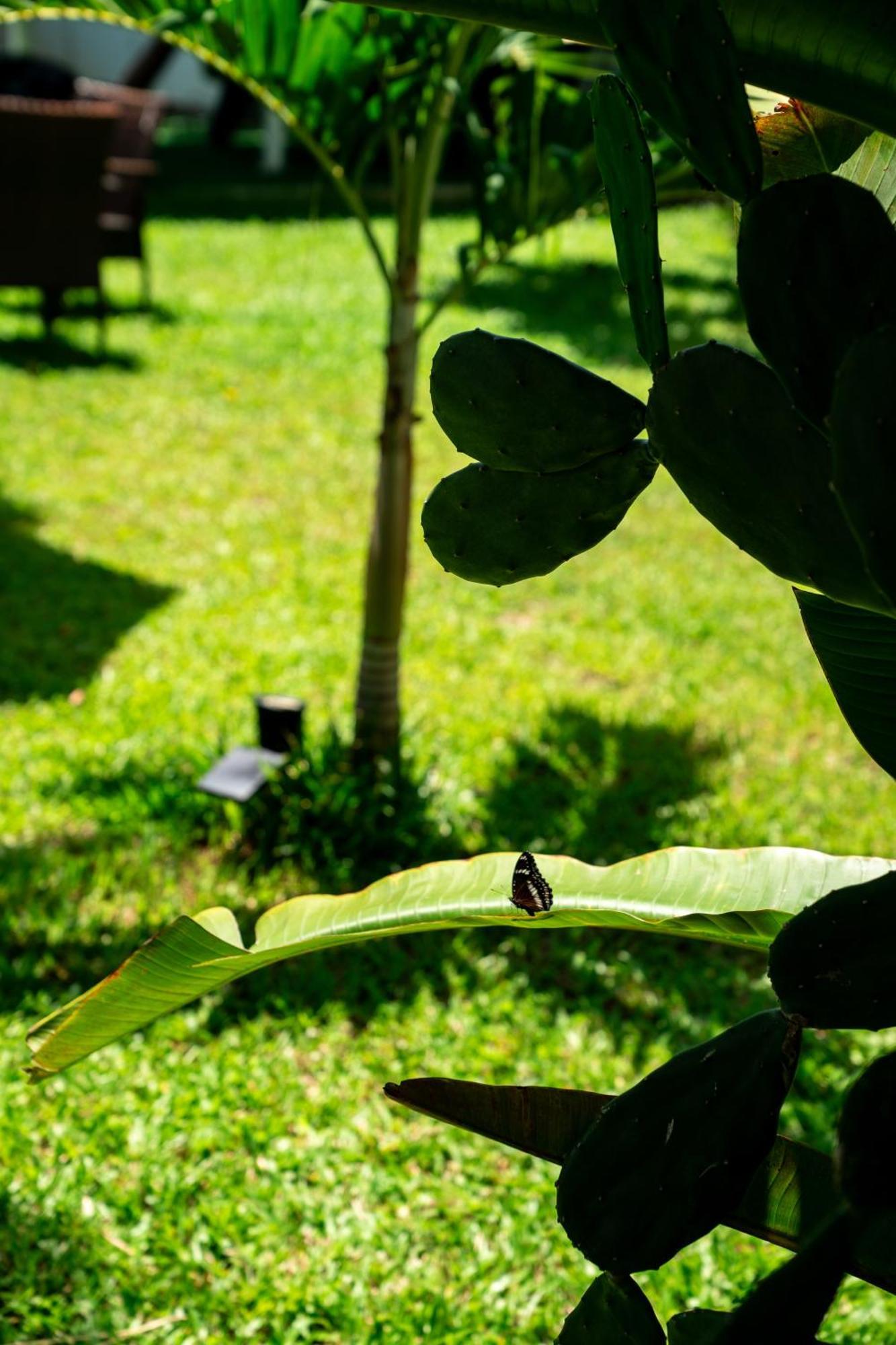 Koh Samui Resort & Restaurant Taling Ngam Beach Buitenkant foto